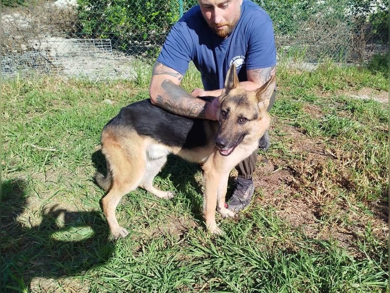 ❤️ GERSON ❤️