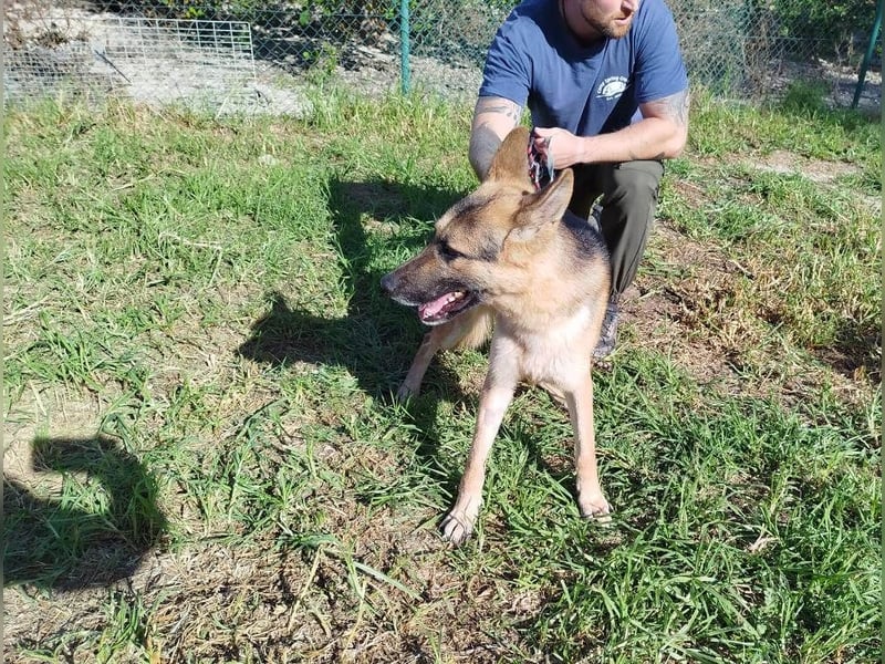 ❤️ GERSON ❤️