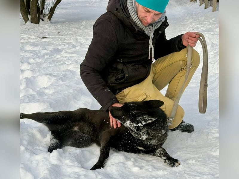 Lady Mesi, ein Rohdiamant , hat leider Ihr Zuhause verloren !