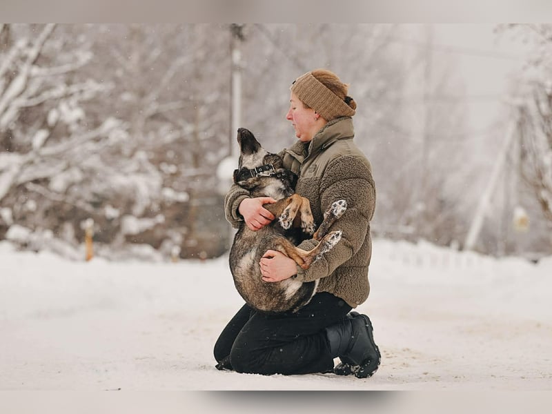 Intelligente Leyla sucht ihre Menschen