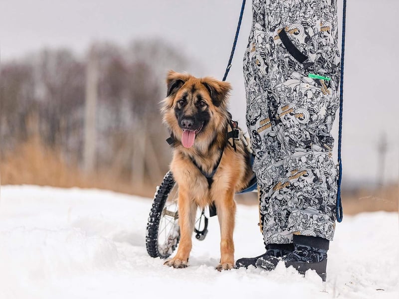 Besonderer Enger sucht seine Familie