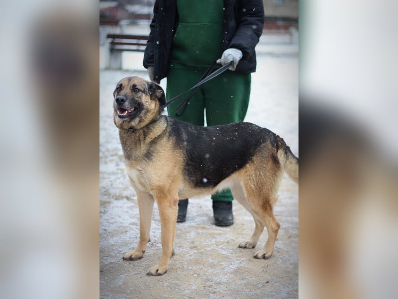 Ilana wartet schon viele Jahre auf ein Zuhause