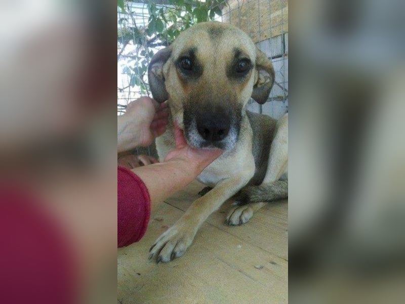 Mayleen, wird immer übersehen