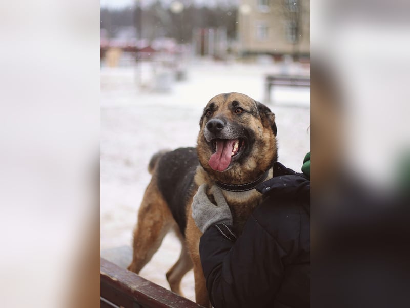 Ilana wartet schon viele Jahre auf ein Zuhause