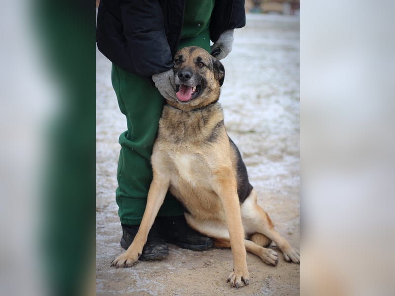 Ilana wartet schon viele Jahre auf ein Zuhause