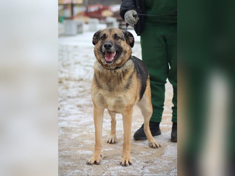 Ilana wartet schon viele Jahre auf ein Zuhause