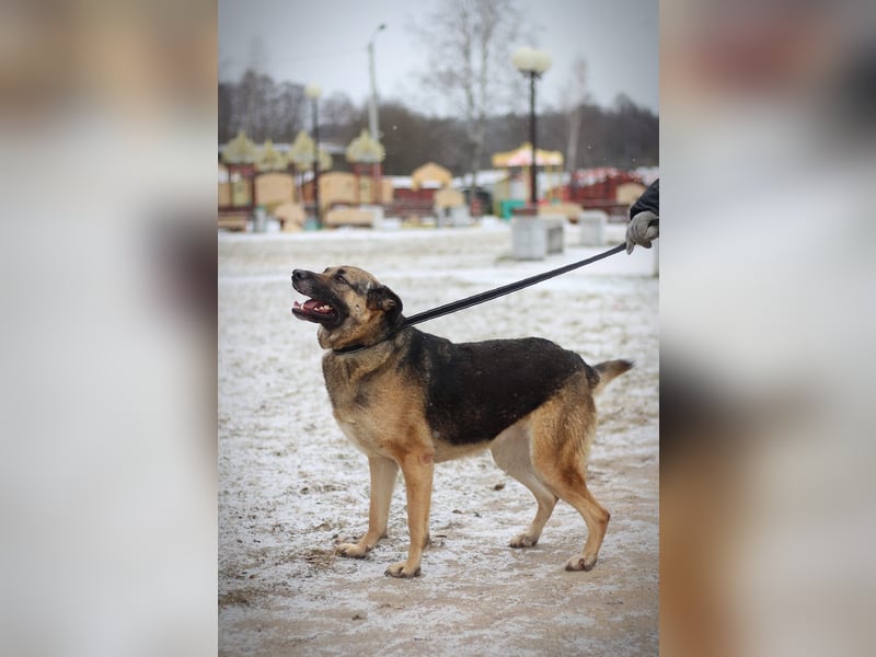 Ilana wartet schon viele Jahre auf ein Zuhause