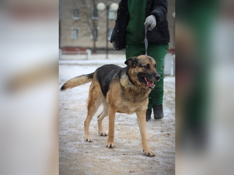 Ilana wartet schon viele Jahre auf ein Zuhause