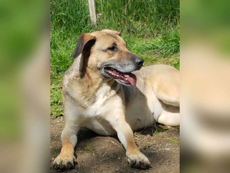 Mayleen, wird immer übersehen