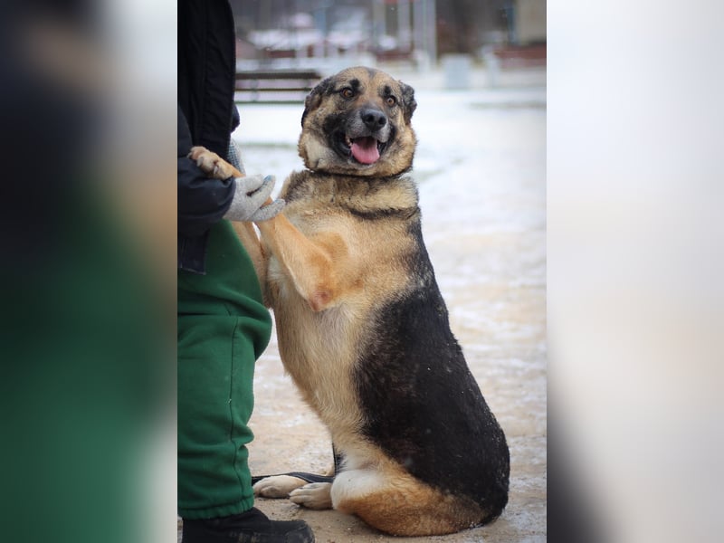 Ilana wartet schon viele Jahre auf ein Zuhause