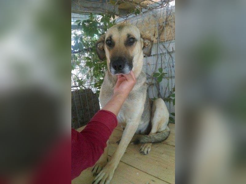 Mayleen, wird immer übersehen