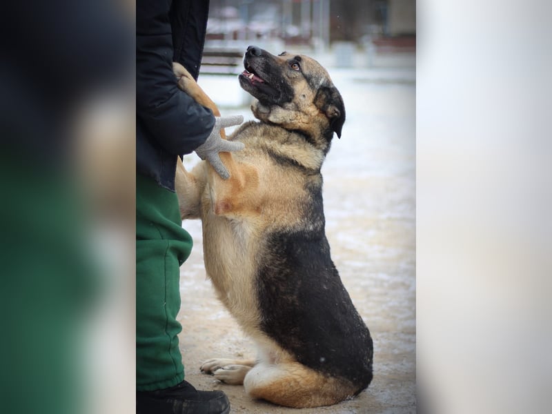 Ilana wartet schon viele Jahre auf ein Zuhause