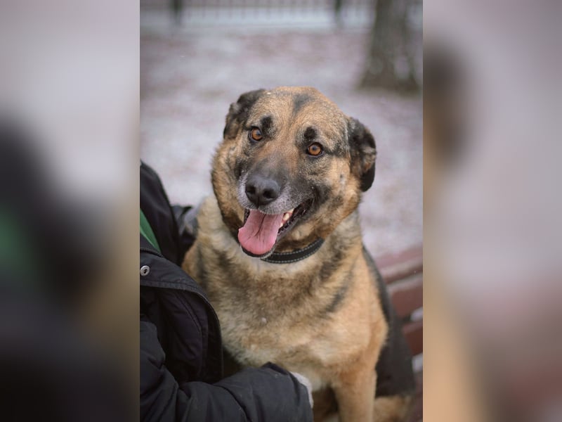 Ilana wartet schon viele Jahre auf ein Zuhause