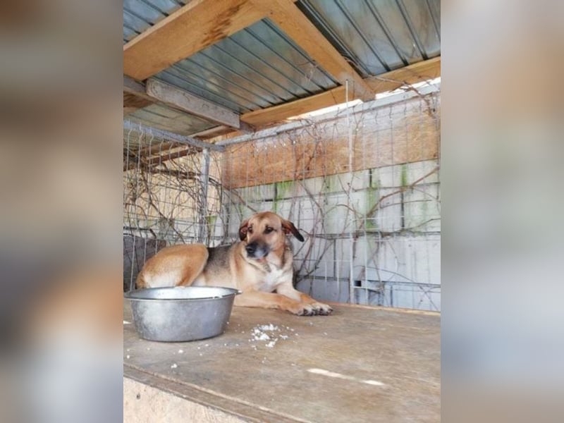 Mayleen, wird immer übersehen