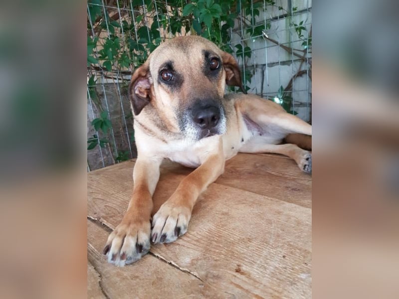 Mayleen, wird immer übersehen