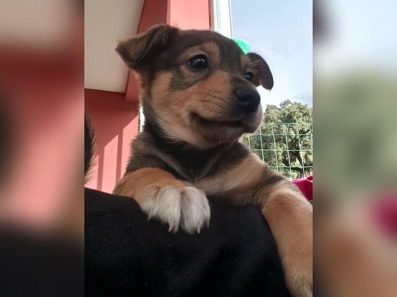 MOMO möchte noch groß und stark werden