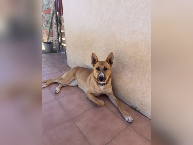 Jasmine sucht Partner zum Pferde stehlen