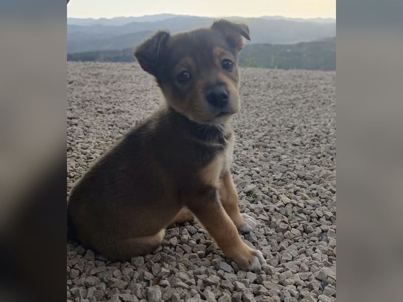 MOMO möchte noch groß und stark werden