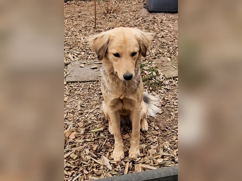 SIMONE möchte endlich in Ihrem Zuhause ankommen