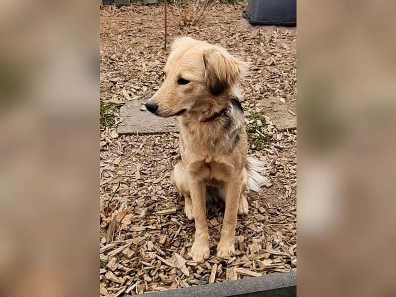 SIMONE möchte endlich in ihrem Zuhause ankommen