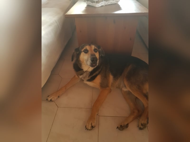 Warum sieht mich denn niemand? 