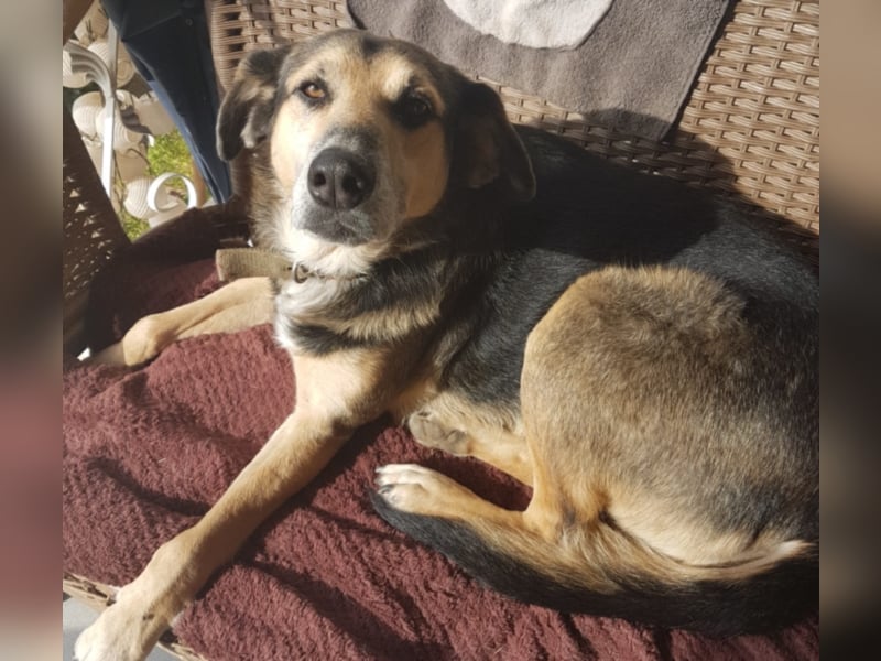 Warum sieht mich denn niemand? 