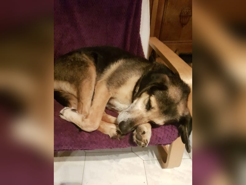 Warum sieht mich denn niemand? 