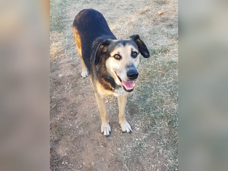 Warum sieht mich denn niemand? 