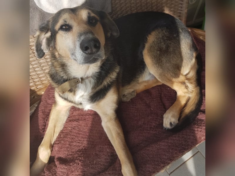 Warum sieht mich denn niemand? 