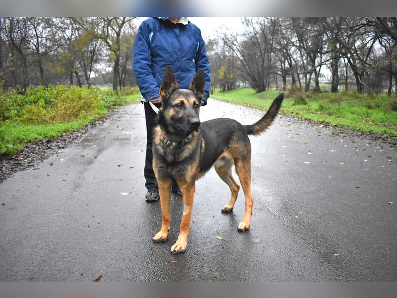 menschenbezogener Joker