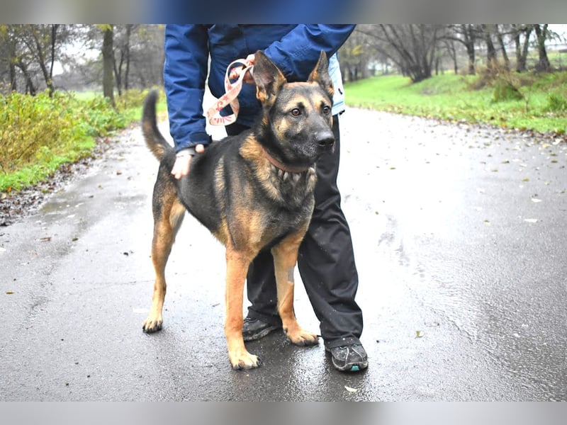 menschenbezogener Joker