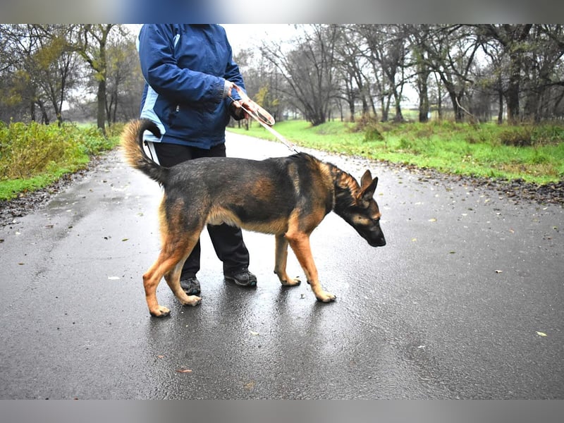 menschenbezogener Joker