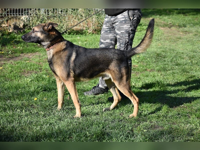 menschenbezogener Joker