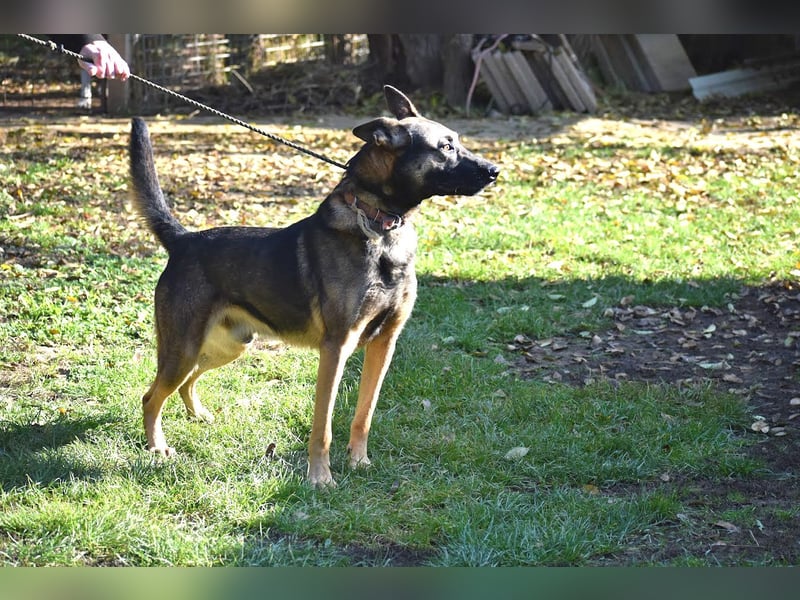 menschenbezogener Joker