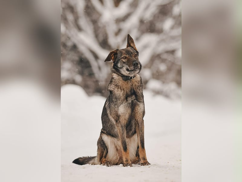 Hübsche Leyla sucht ihre Familie