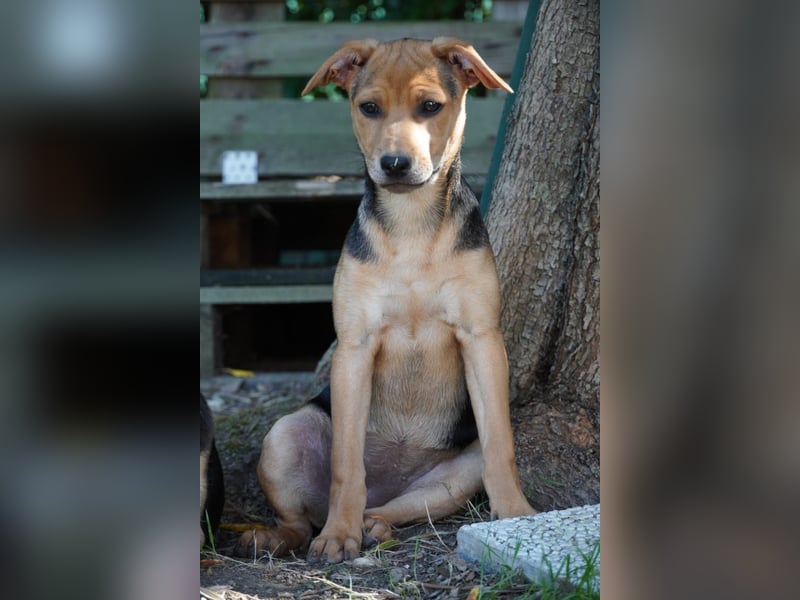 Lea -  Wenn Du mich holst, hab ich Dich lieb