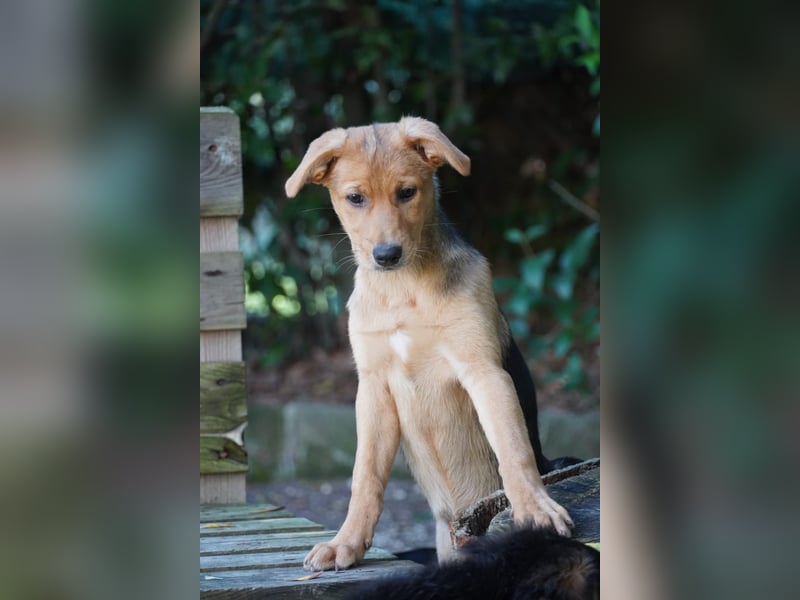 Leda -  Wenn Du mich holst, hab ich Dich lieb