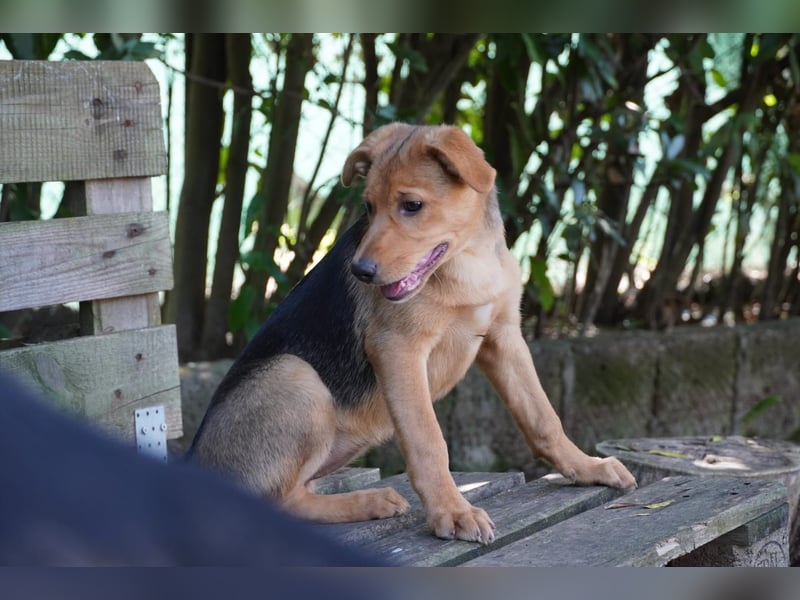 Leda -  Wenn Du mich holst, hab ich Dich lieb