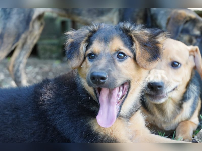 Leonilde -  Wenn Du mich holst, hab ich Dich lieb