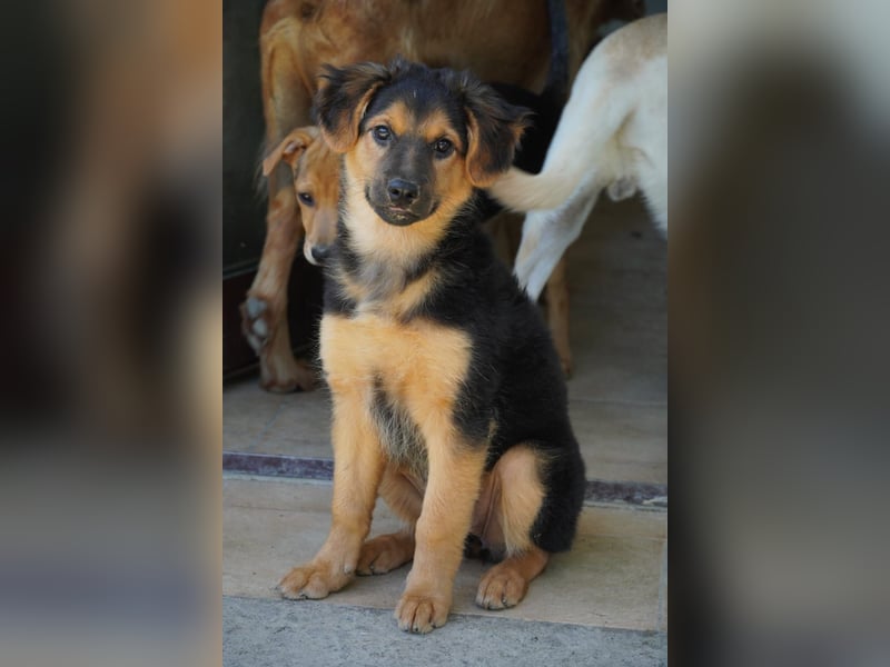 Leonilde -  Wenn Du mich holst, hab ich Dich lieb