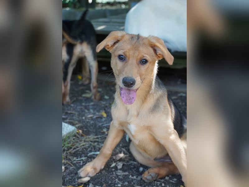 Leda -  Wenn Du mich holst, hab ich Dich lieb