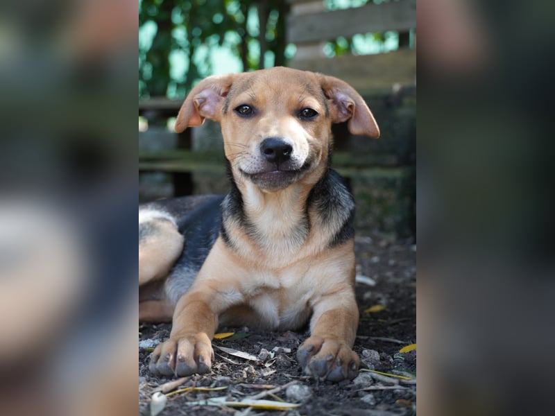 Lea -  Wenn Du mich holst, hab ich Dich lieb