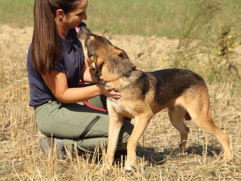 Aki - Verloren, gerettet, verlassen...