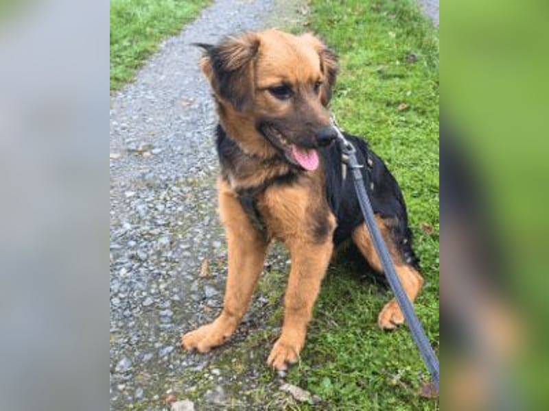 Leonilde -  Wenn Du mich holst, hab ich Dich lieb