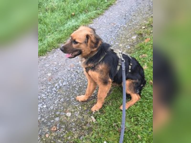 Leonilde -  Wenn Du mich holst, hab ich Dich lieb