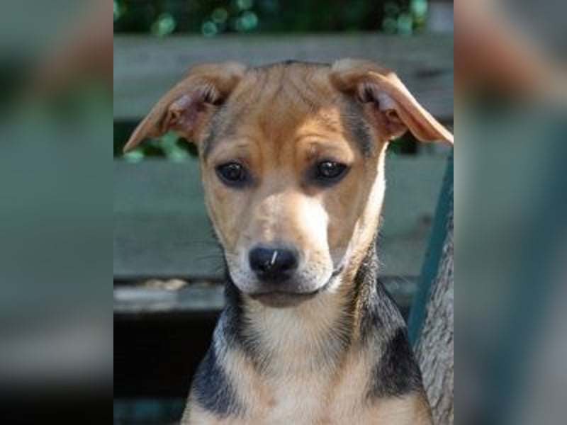 Lea -  Wenn Du mich holst, hab ich Dich lieb