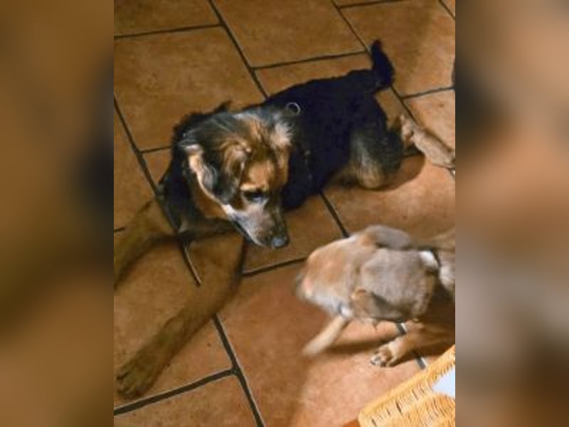 Leonilde -  Wenn Du mich holst, hab ich Dich lieb