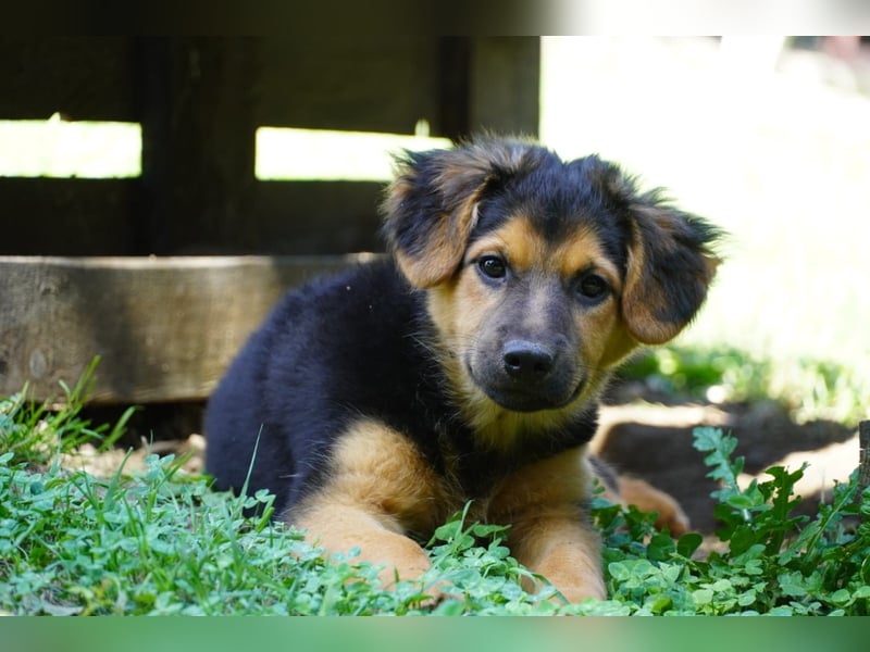 Leonilde -  Wenn Du mich holst, hab ich Dich lieb