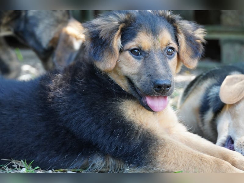 Leonilde -  Wenn Du mich holst, hab ich Dich lieb