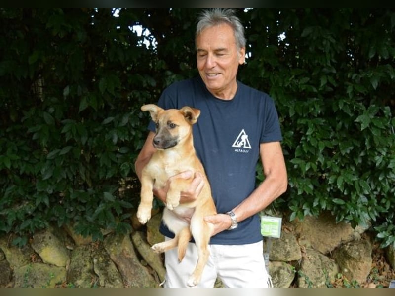Briarose - Ein bisschen Hundekinderelternwahnsinn ?